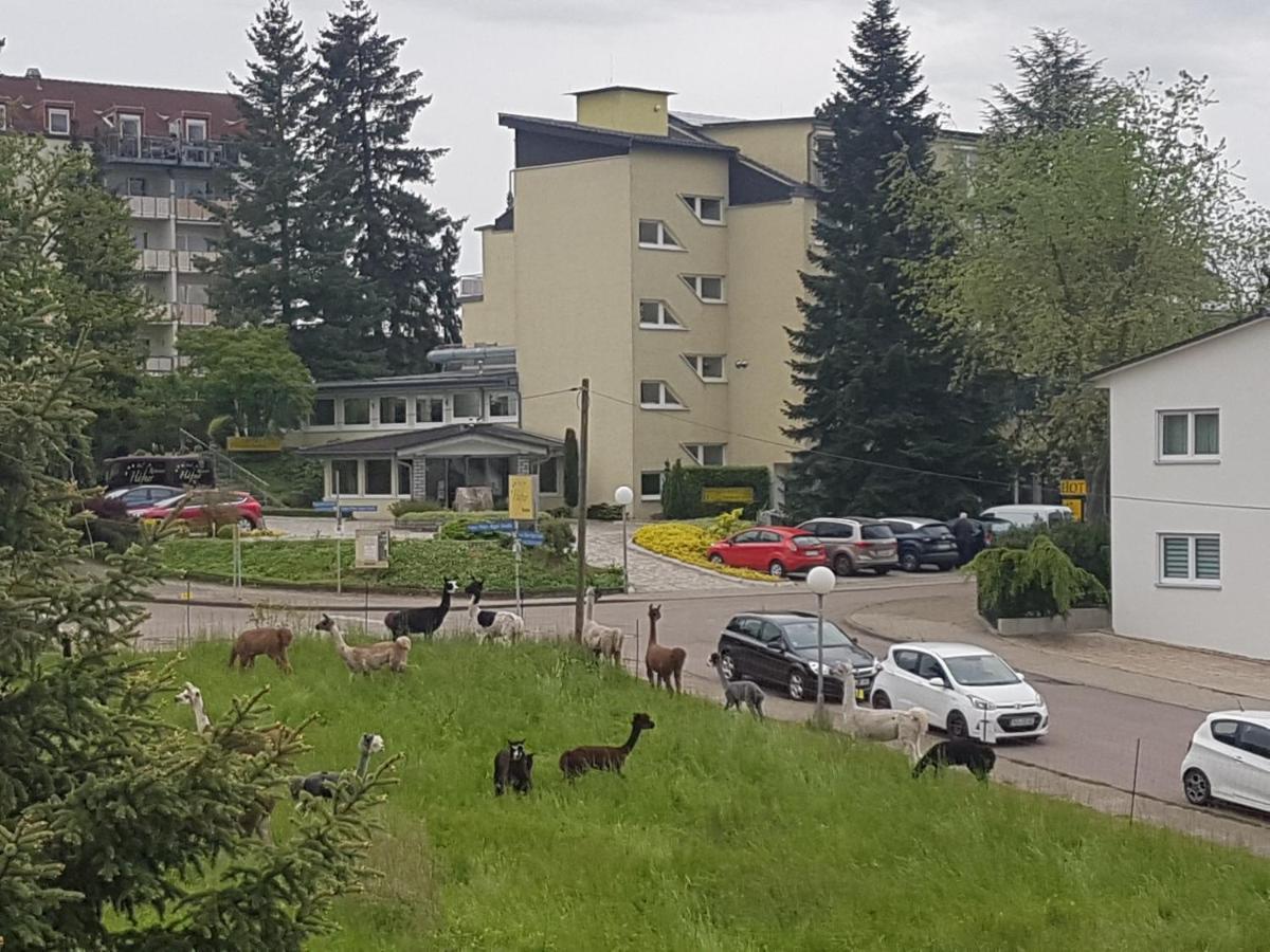 Hotel Haefner Bad Schonborn Εξωτερικό φωτογραφία